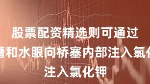 股票配资精选则可通过水槽和水眼向桥塞内部注入氯化钾