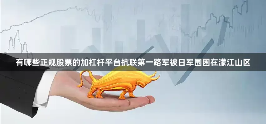 有哪些正规股票的加杠杆平台抗联第一路军被日军围困在濛江山区