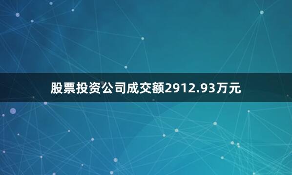 股票投资公司成交额2912.93万元