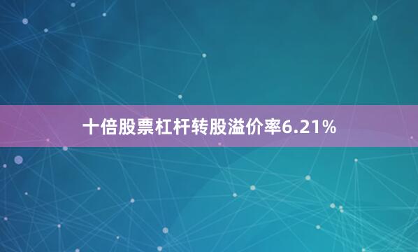 十倍股票杠杆转股溢价率6.21%