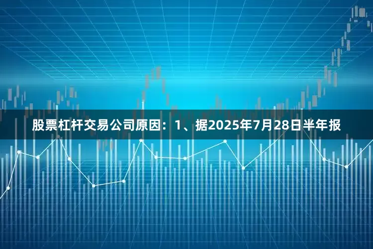 股票杠杆交易公司原因：1、据2025年7月28日半年报