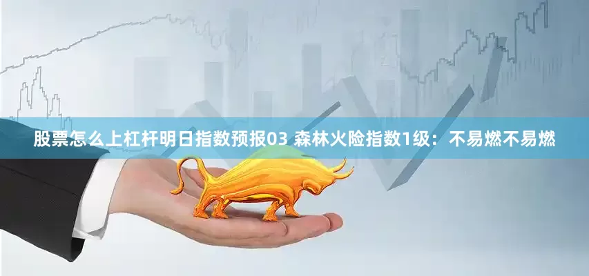 股票怎么上杠杆明日指数预报03 森林火险指数1级：不易燃不易燃