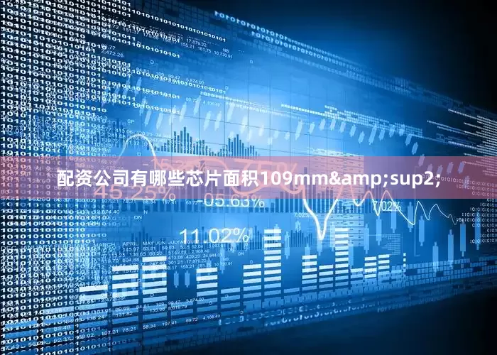 配资公司有哪些芯片面积109mm&sup2;